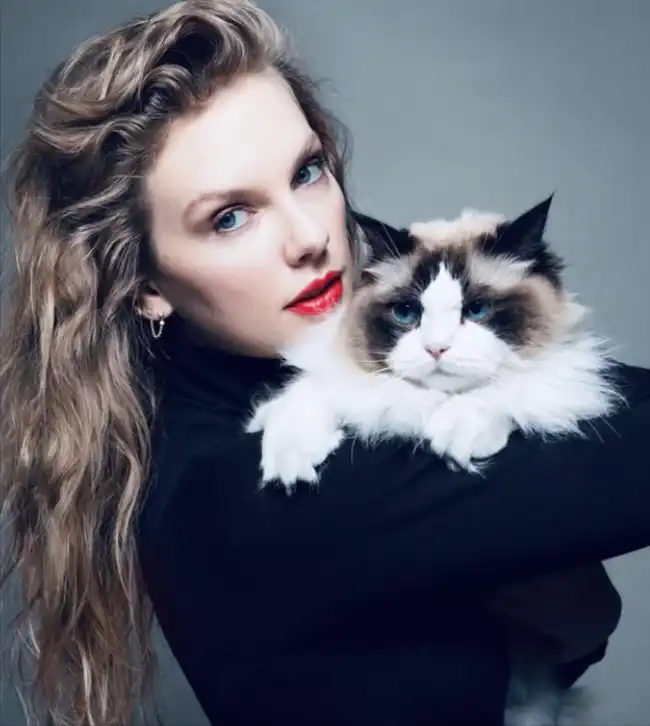 Taylor Swift Net Worth
